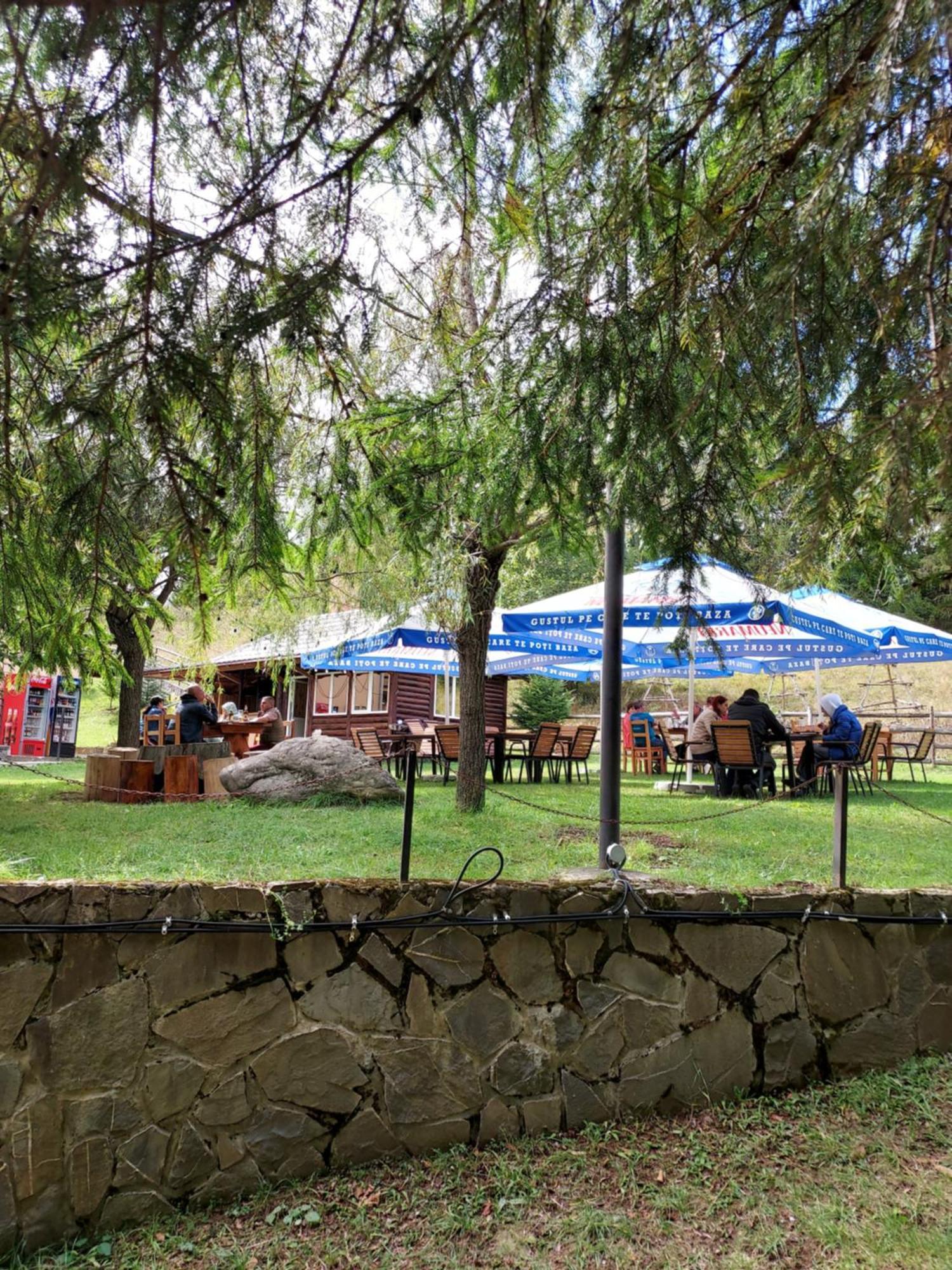 Pensiunea La Taverna Trăisteni Eksteriør billede